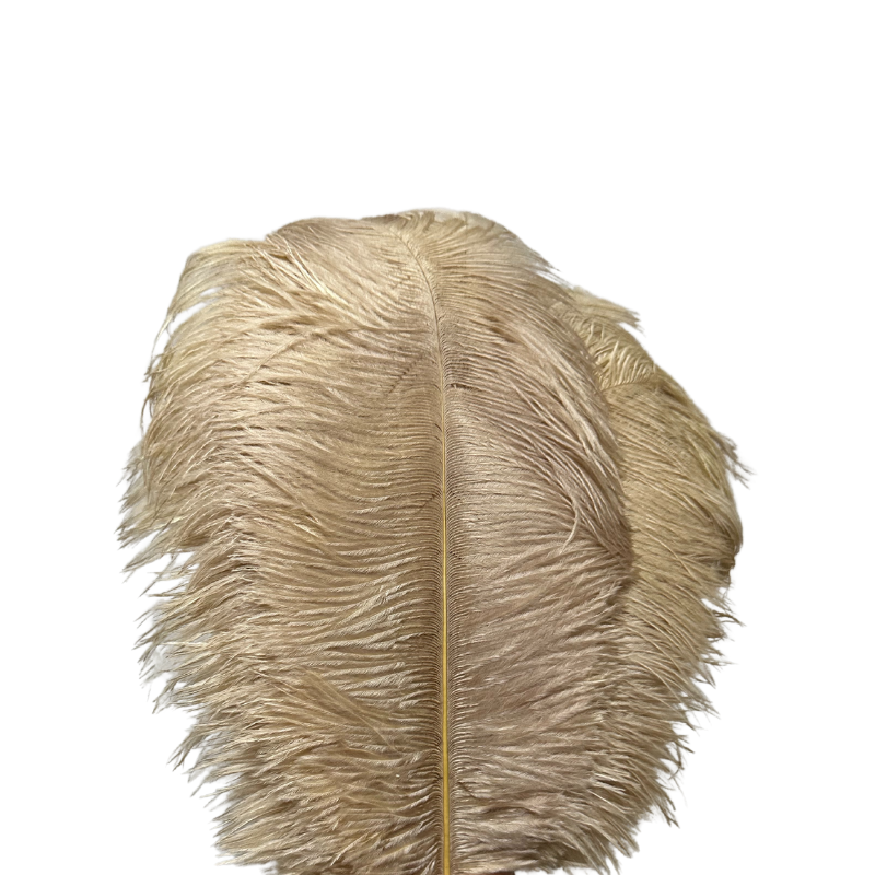Scandinavian Luxury Unique Ostrich Feather Floor Lamp/Table Lamp