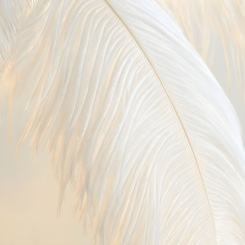 Scandinavian Luxury Unique Ostrich Feather Floor Lamp/Table Lamp