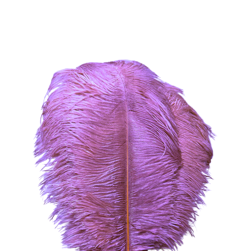 Scandinavian Luxury Unique Ostrich Feather Floor Lamp/Table Lamp