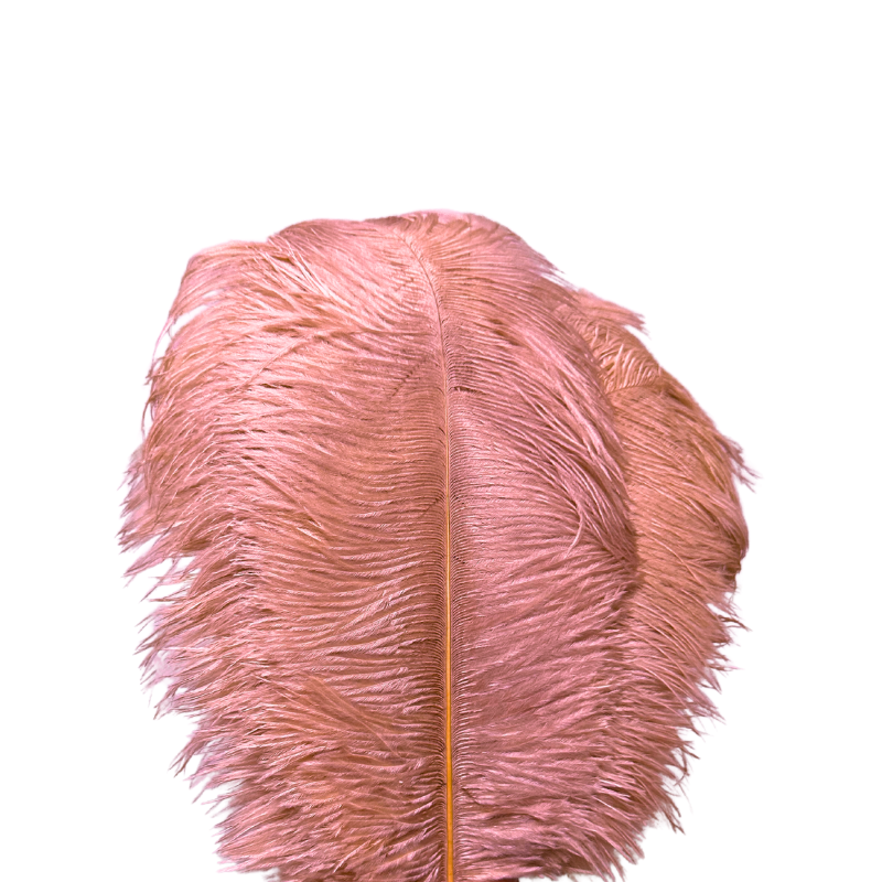 Scandinavian Luxury Unique Ostrich Feather Floor Lamp/Table Lamp