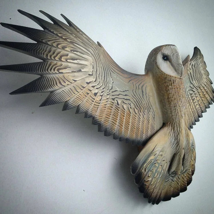 Barn Owl Wall Art