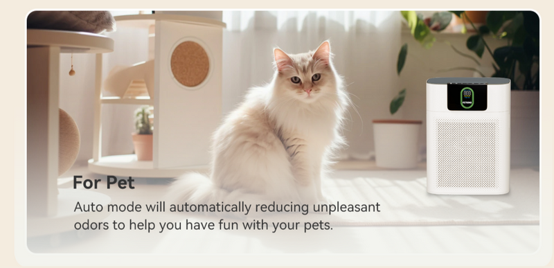 Portable Air Purifier
