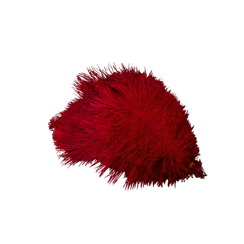 Scandinavian Luxury Unique Ostrich Feather Floor Lamp/Table Lamp
