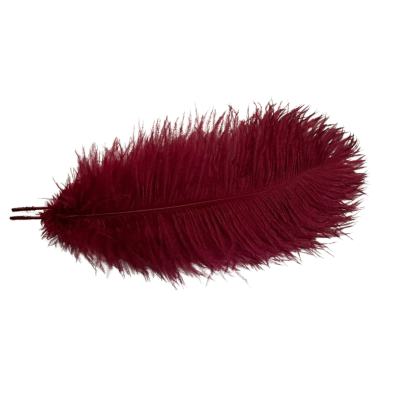 Scandinavian Luxury Unique Ostrich Feather Floor Lamp/Table Lamp