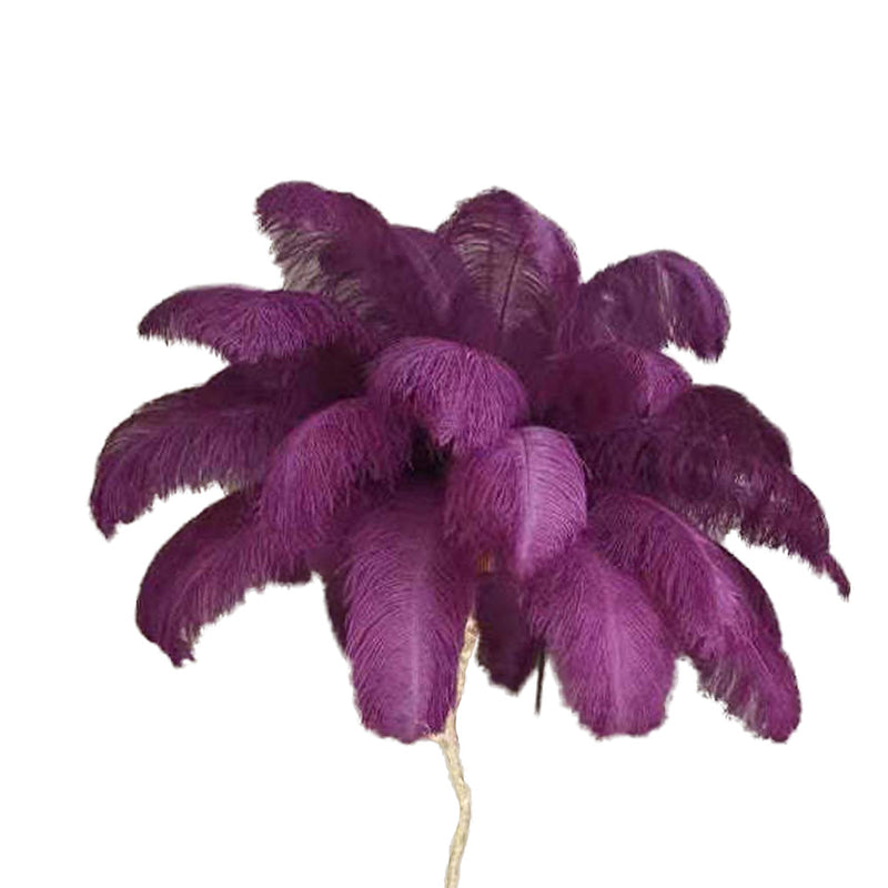 Scandinavian Luxury Unique Ostrich Feather Floor Lamp/Table Lamp