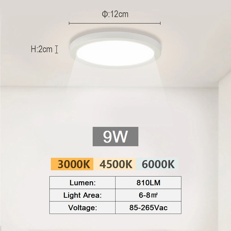 Modern Minimalist LED Ceiling Lamp - 2 Rings Aisle Light Fixture