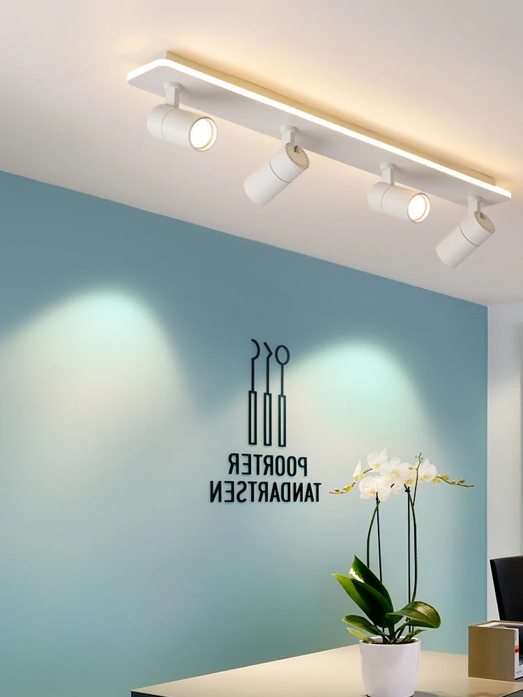 Modern Black LED Ceiling Chandelier with Spotlights for Home Decor