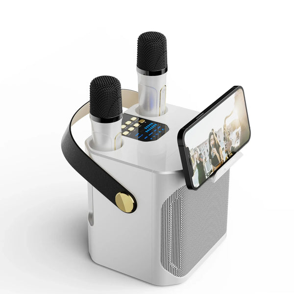 High-Power Portable Bluetooth Karaoke Speaker with 360° Stereo Surround