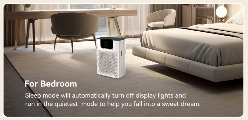 Portable Air Purifier