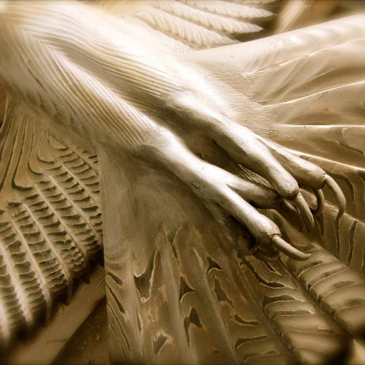 Barn Owl Wall Art