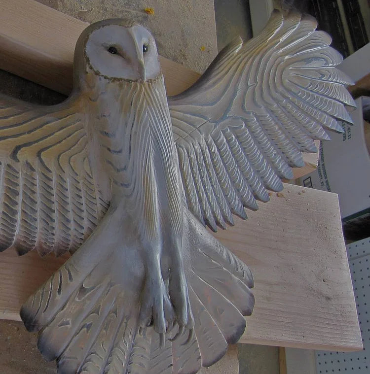 Barn Owl Wall Art