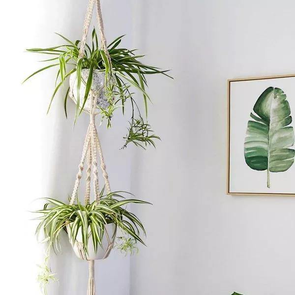 Handmade Bohemian Macrame Plant Hanger Set