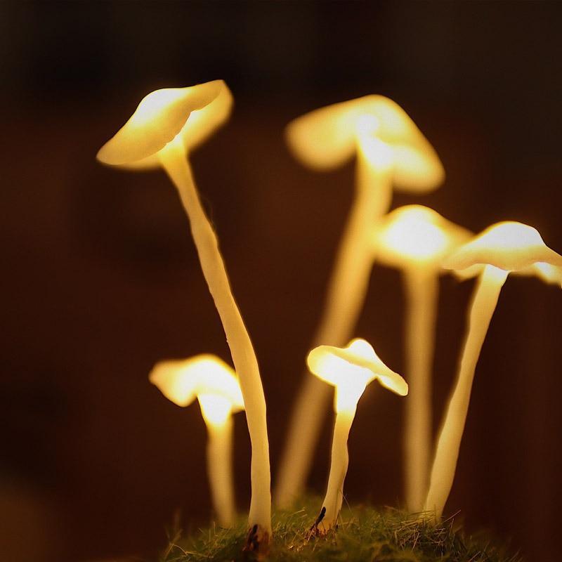 Magical Mushroom Lamp DIY Kit
